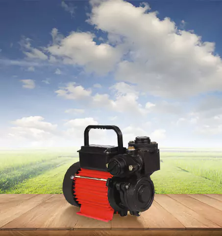 Electric Pump Motors Distributors in Ramnad